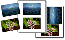 Digital photo printing screenshot: 4x6